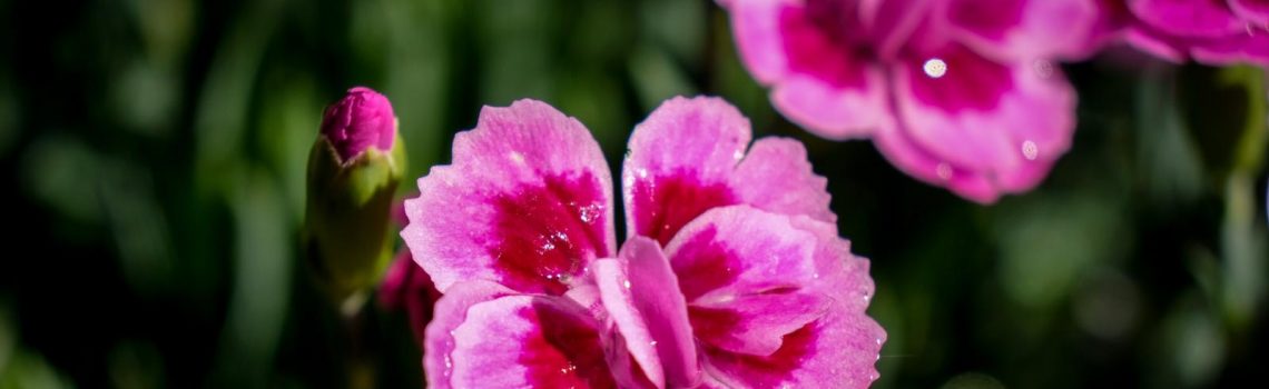 How to shift from misunderstanding to real&nbsp;connection